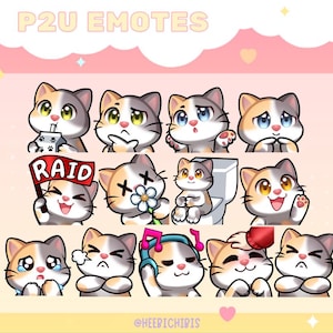 Calico Cat Twitch Emotes – 13 Emote Pack, 3 Eye Colors – Chibi Style for Streamers (Pack 3)