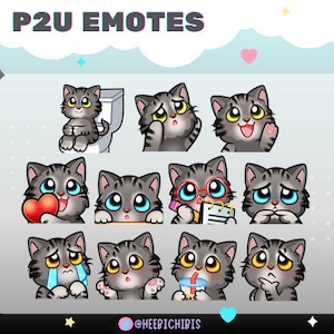 20 Longhair Gray Tabby Cat Twitch emotes in 3 eye colors - pack 1