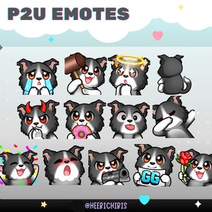13 Border Collie Twitch Emotes - Pack 1