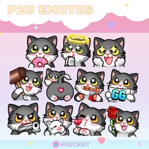 20 Longhair Tuxedo Cats Twitch Emotes in 2 eyes colors - Pack 1