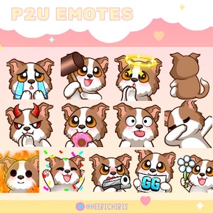 13 Red Border Collie Twitch Emotes | Pack 1