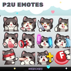 12 Tuxedo Cat Emotes in 2 eye colors | pack 3