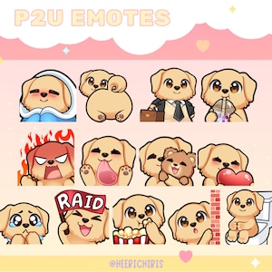 Emotes Golden Retriever pour Twitch - Lot de 13 - Emotes chien Chibi (Lot de 5)