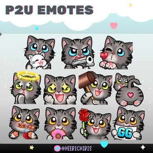 19 Longhair Gray Tabby Cat Twitch Emotes in 3 eye colors - Pack 2