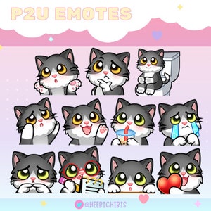 19 Longhair Tuxedo Cat Twitch Emotes in 2 eye colors - Pack 2
