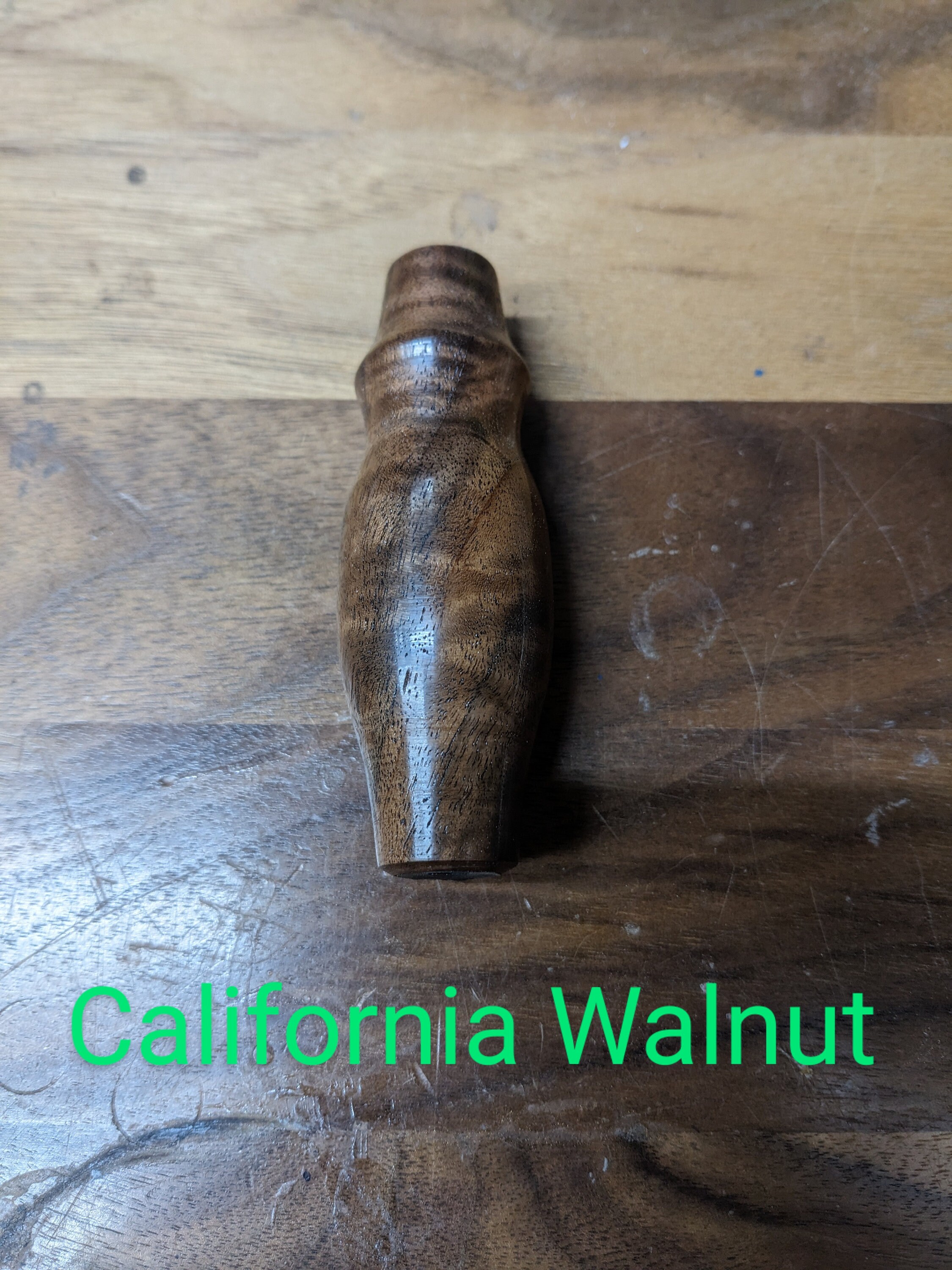 Squirrel Call. Hunting. Game Call. Squirrels Distress. Adult Squirrel