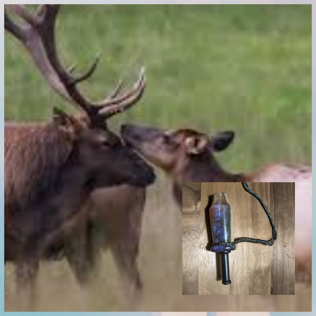 Cow Elk Call. Elk Hunting Call. Handmade Mouthpiece. Wild Game Etsy