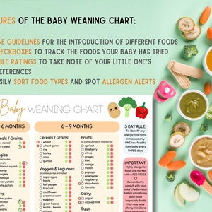 K&ouml;nnte beinhalten: Ein farbenfrohes Diagramm mit einem Babygesichtslogo mit dem Titel "Baby Weaning Chart". Das Diagramm ist in zwei Abschnitte f&uuml;r 4-6 Monate und 6-9 Monate unterteilt. Jeder Abschnitt listet verschiedene Lebensmittelkategorien auf, darunter Getreide, K&ouml;rner, Gem&uuml;se, Obst, Milchprodukte und Eier. Das Diagramm enth&auml;lt Kontrollk&auml;stchen, um die Lebensmittel zu verfolgen, die ein Baby probiert hat, Smile-Bewertungen, um die Vorlieben zu notieren, und eine 3-Tage-Regel, um neue Lebensmittel einzuf&uuml;hren.
