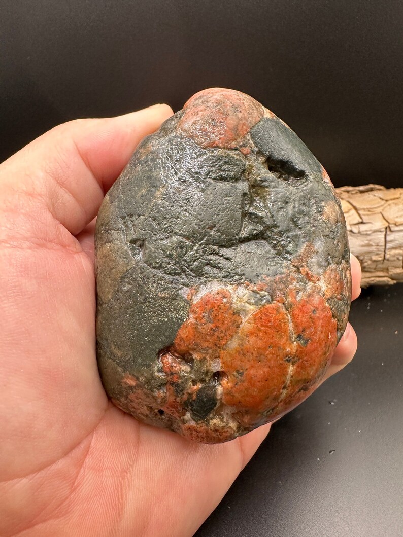 Bif Gowganda Tillite, Pudding, Conglomerate Michigan Stones, Display