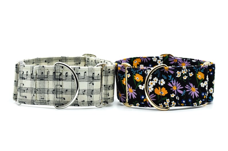 Music for Life Music notes Martingale Dog Collar Greyhound Whippet Sighthound Dog Collar