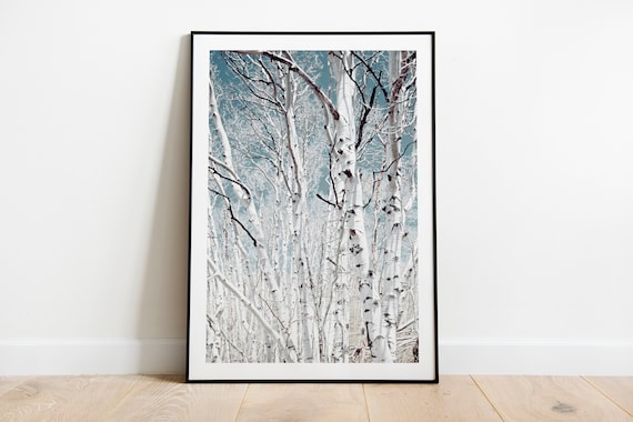 Forest Print Nature Art Tree Art Nature Poster Photography - Etsy