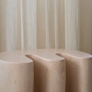 Organic Side Table No.01 image 7