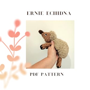 Ernie Echidna PDF pattern, Snuggler, Amigurimi, crochet, lovey,