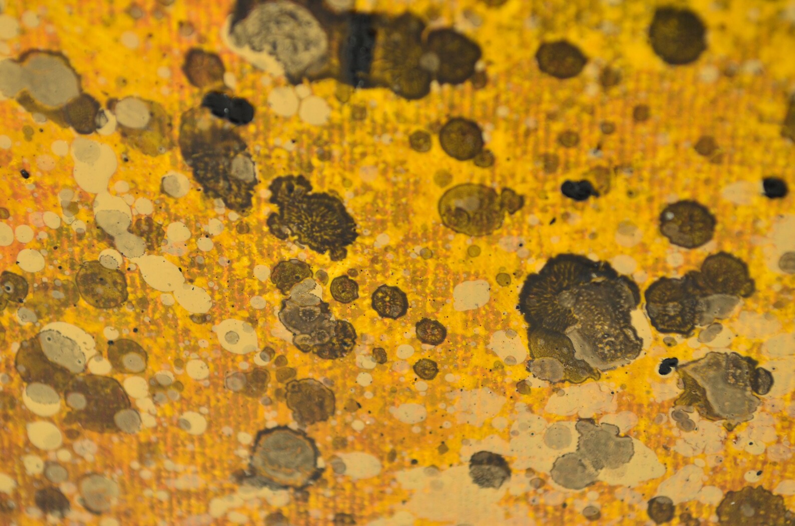 Brown Abstract Art Picture Wall Printfloral wall art Etsy