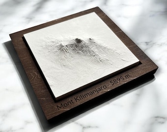 Carte en Relief du Mont Kilimanjaro - Personnalisable - Sculpture en Béton Clair - Topographie Plus Haut Sommet d'Afrique - pour Aventurier
