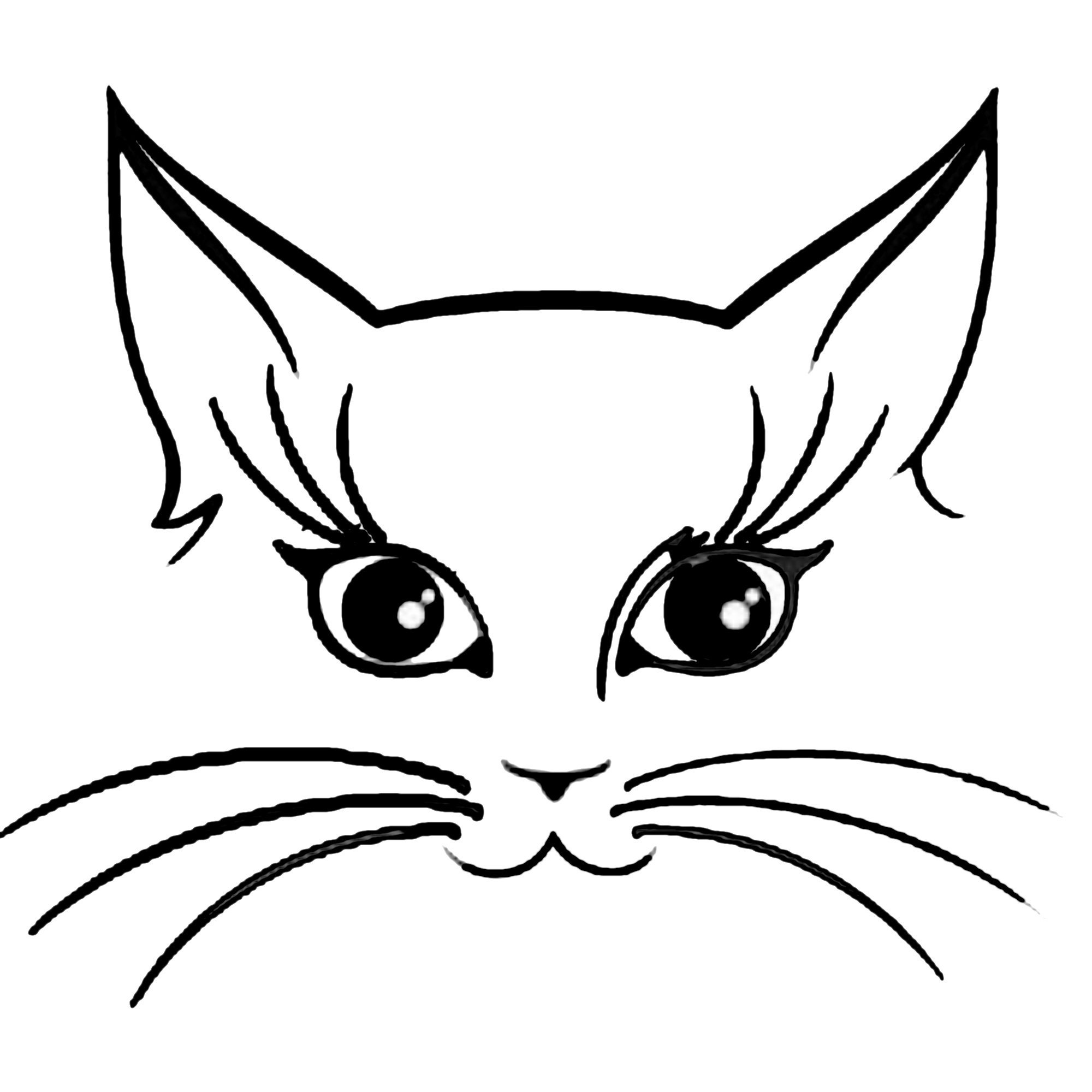 Gatto viso vinile auto adesivo per auto Etsy