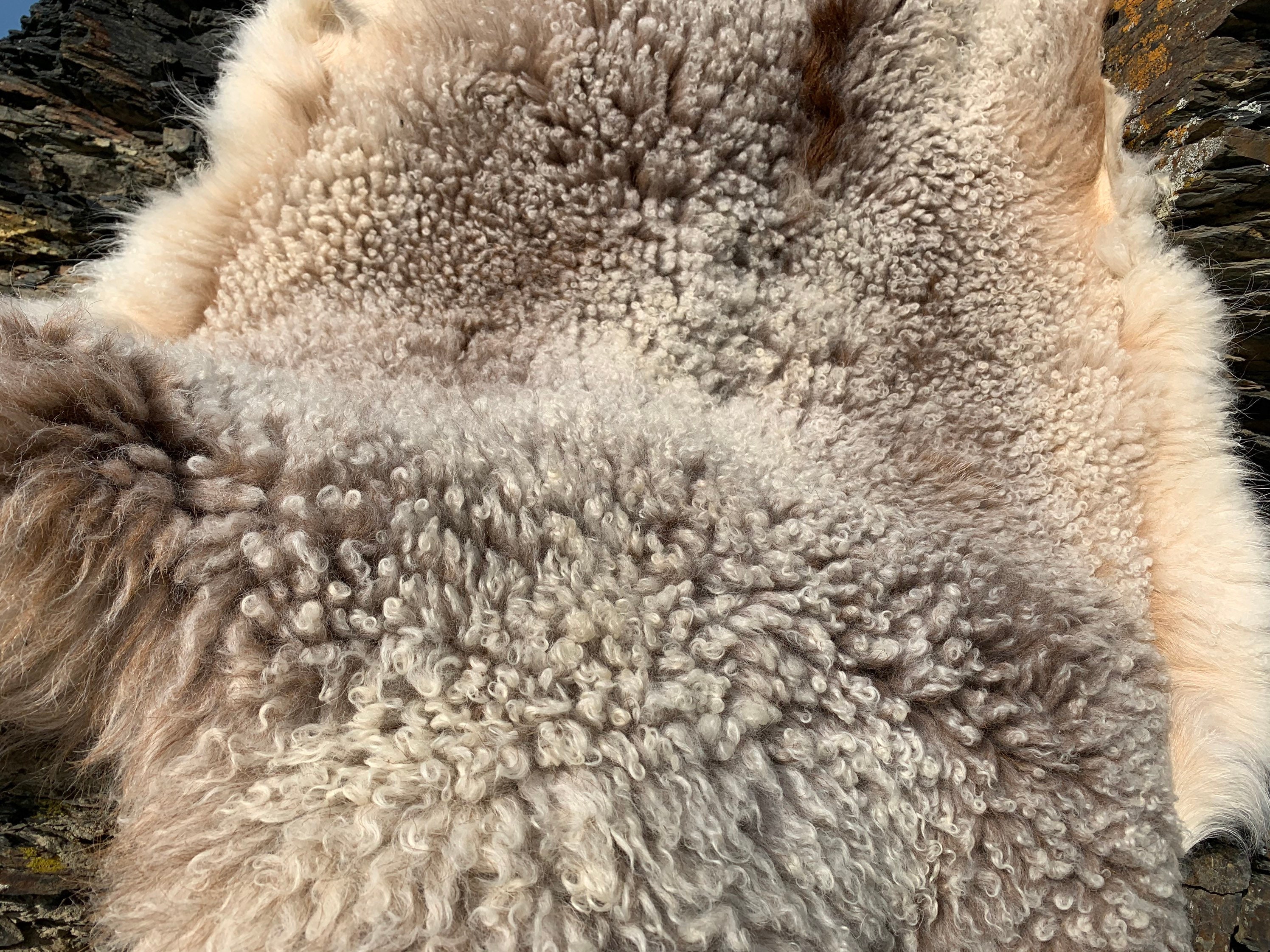 Genuine goatskin rug goatskin throw single pelt Etsy