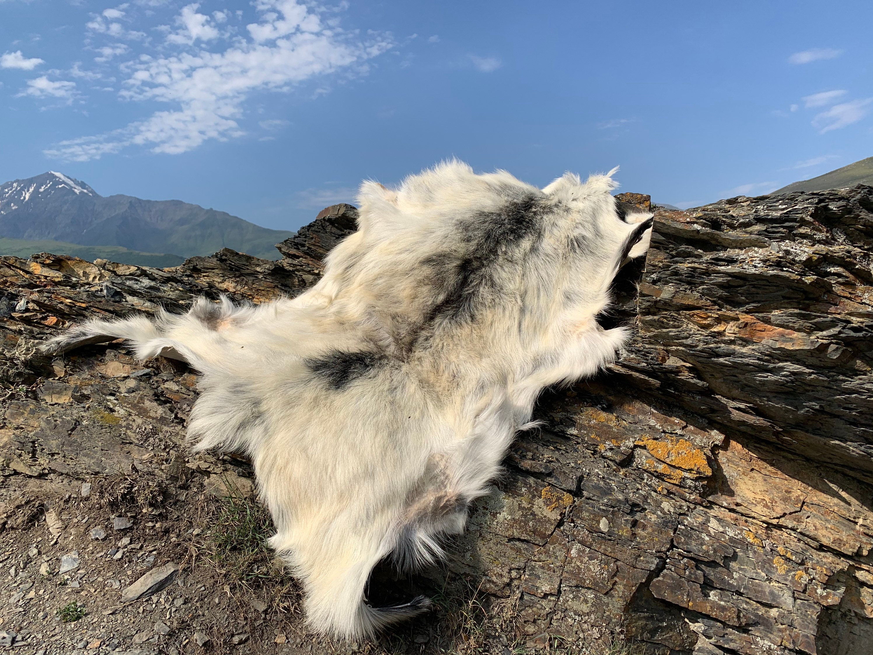 Genuine goatskin rug goatskin throw single pelt Etsy