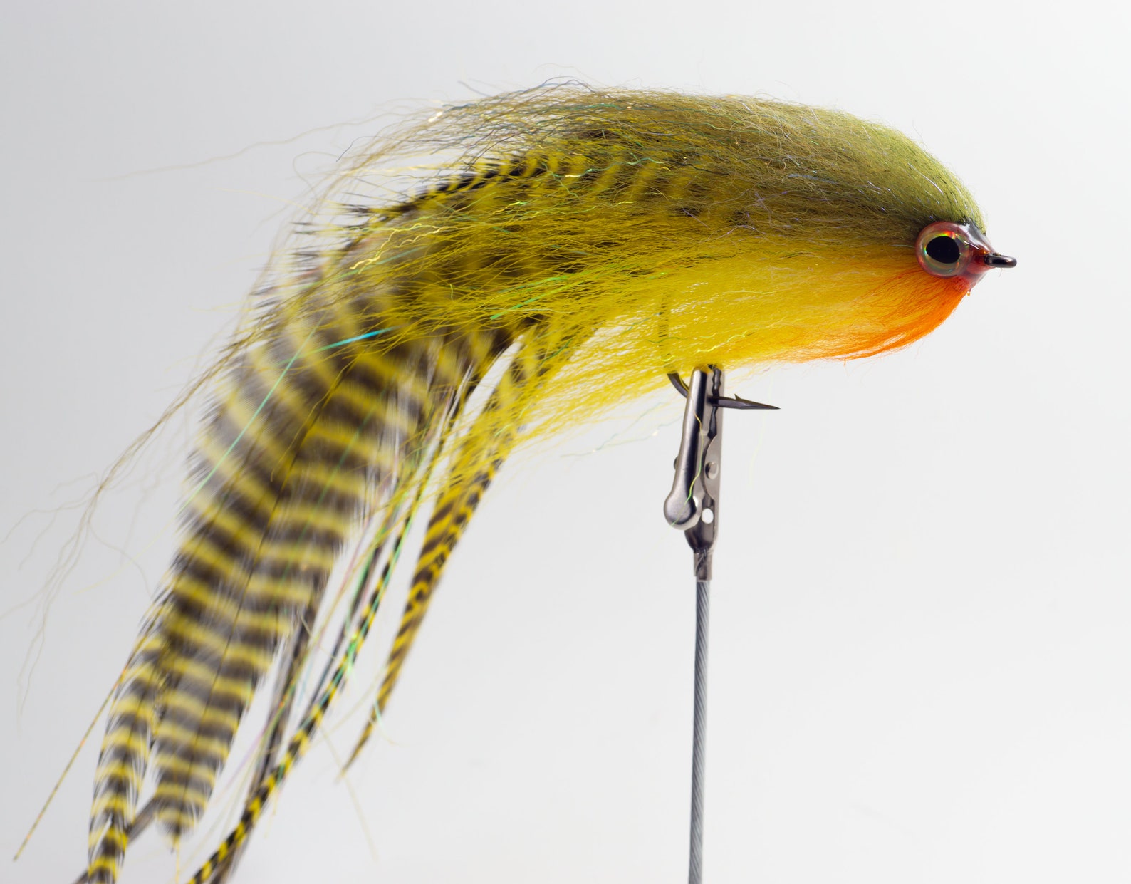 perch streamer fly