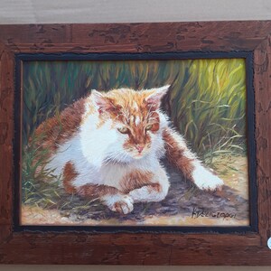 Chat ensoleillé
