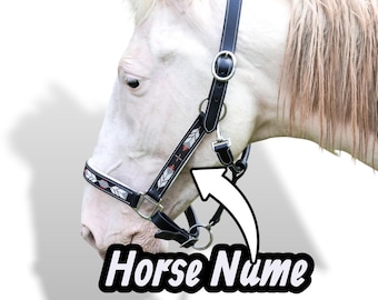 Cabestro de caballo personalizado con cuentas de cuero y nombre / Cabestro acolchado ajustable / Aparejo occidental hecho a mano / Herrajes de latón