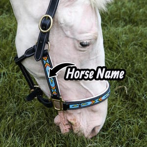 Leather Beaded Horse Halter | Personalized Name | Soft Padded Adjustable Tack | Brass Fittings | Handmade | Black & Brown