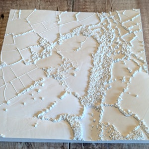 Carte en relief 3D personnalisée - Une impression du terrain où vous habitez