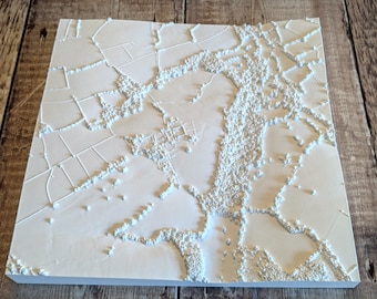 Personalised 3D relief map - A print of the terrain where you live