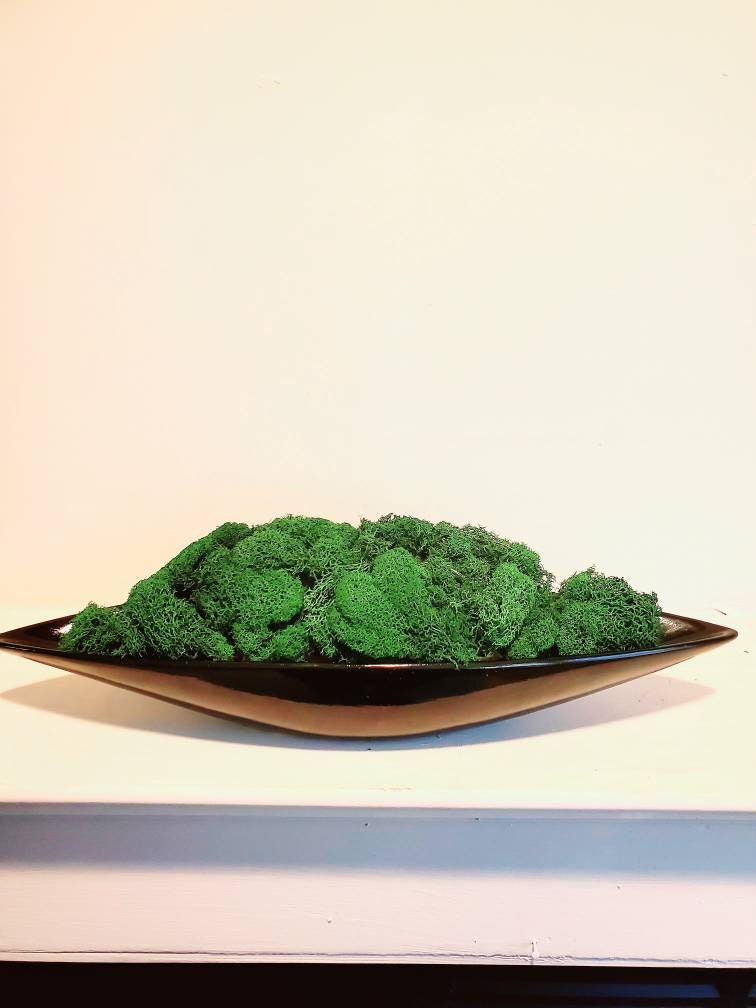 Preserved Moss Centerpiece. Moss Bowl. Moss Decor. Etsy
