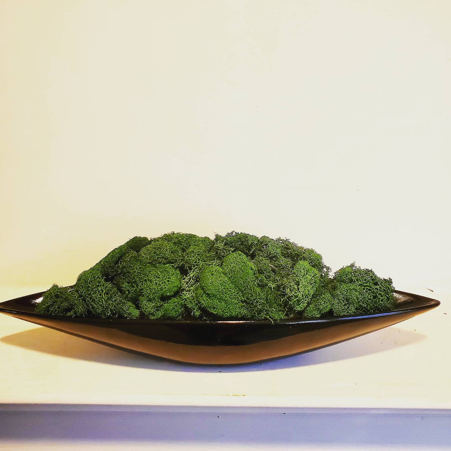 5. A Symphony Of Greens: Bowl Of Moss