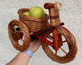Bicycle Plant Pot, Wicker Planter, Boho Indoor Planter, Rattan Planter, Floor Plant Stand, Indoor Plant Stand With Pot, Rattan Plant Pot