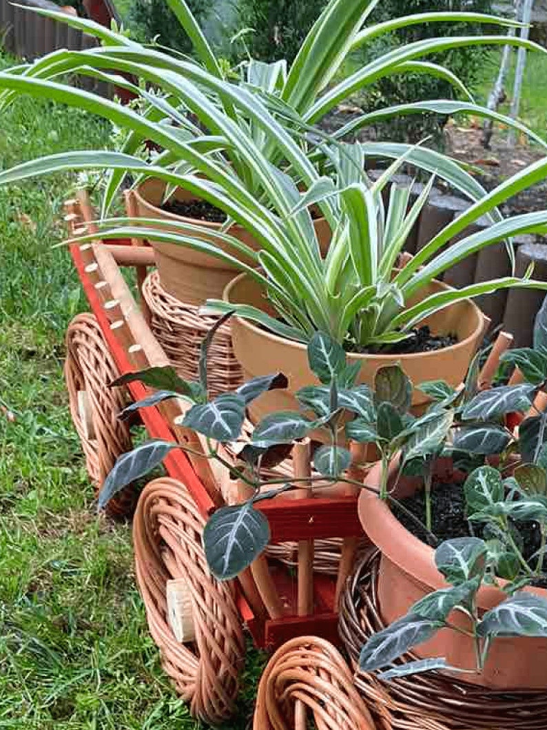 Train Planter with Pots, Wicker Indoor or Outdoor Planter, Succulent Pot, Boho Planter, Garden Decor, Flower Pot, Mid Century Indoor Planter Small railroad car