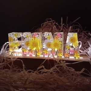 Luz de noche de flores de verano, luz de noche de flores multicolor con base de carga, lámpara de flores con nombre personalizado con caja de regalo, color de luz ajustable