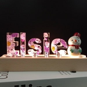 Regalos para niños, luz de noche con nombre, lámpara de muñeco de nieve de resina con flores preservadas personalizadas, lámpara de mesa personalizada para su dormitorio