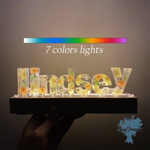 Lámpara de luz de noche personalizada con nombre de mamá, hija, sobrina, nieta, niña, con flores prensadas reales, nombre de resina personalizado, bonito regalo para Navidad