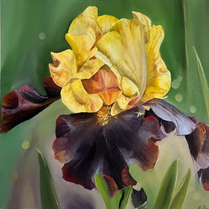 Dipinto ad olio con iris giallo bordo, viola, viola, bordeaux, originale, botanico, macro, idee regalo, festa della mamma 11,81 x 11,81 pollici di MDenGallery