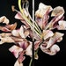 see more listings in the Flowers oil painting section