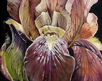 Iris oil painting,Irises,Painting flowers,Macro botanical,Original art, Ideas for gift,Free shipping 11,81x7,87 inch by MDenGallery