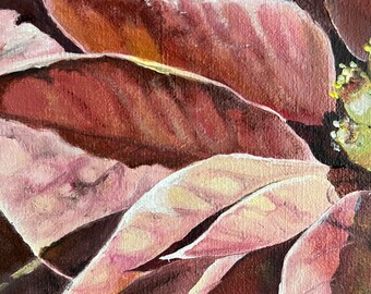 ポインセチアの油絵：マクロボタニカルアート、オリジナルの花のアート