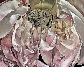 Pintura al óleo de rosa rosa: arte floral macro, 19,68 pulgadas cuadradas