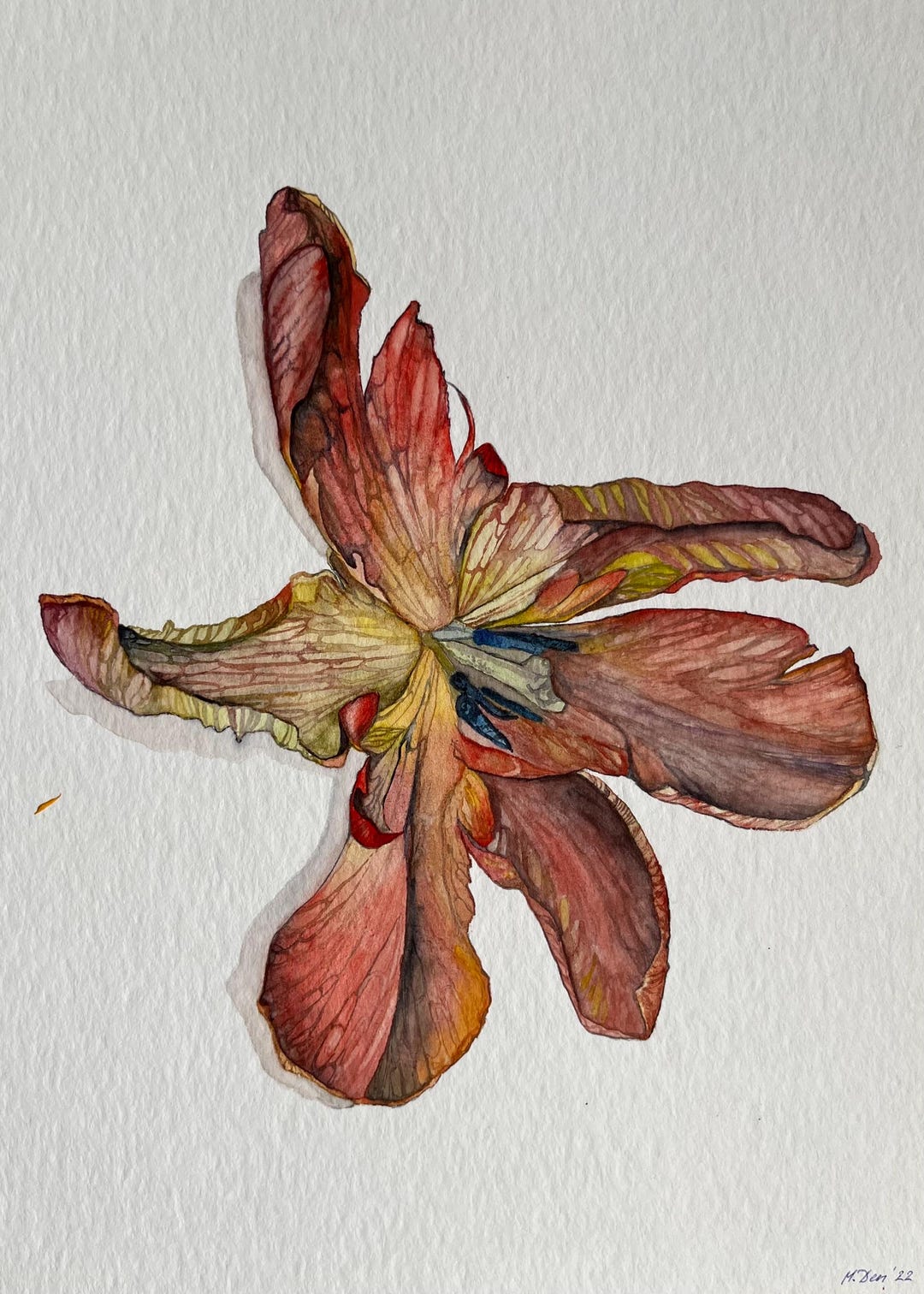 Watercolor Tulip Painting, Red Orange Floral Botanical Art (12.59x9.44 ...