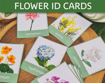 Flower Identification Cards | Flower Cards | Flower Study | Flower Activity | Flower Match | Spring study | Spring Activity | flower types