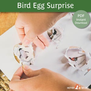 May include: A printable activity for kids featuring a set of bird eggs with different bird images inside. The eggs are made of paper and are being peeled open to reveal the birds. The birds include a penguin, a pheasant, and a blackbird. The text "Bird Egg Surprise" is at the top of the page. The text "PDF Instant Download" is in a green circle at the top right of the page.