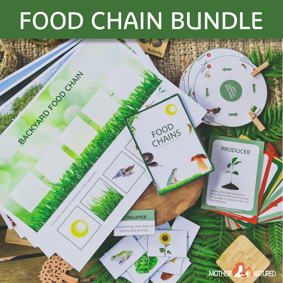 Food Chain Printables Bundle | Food Web Printables Bundle | Food Chain ...