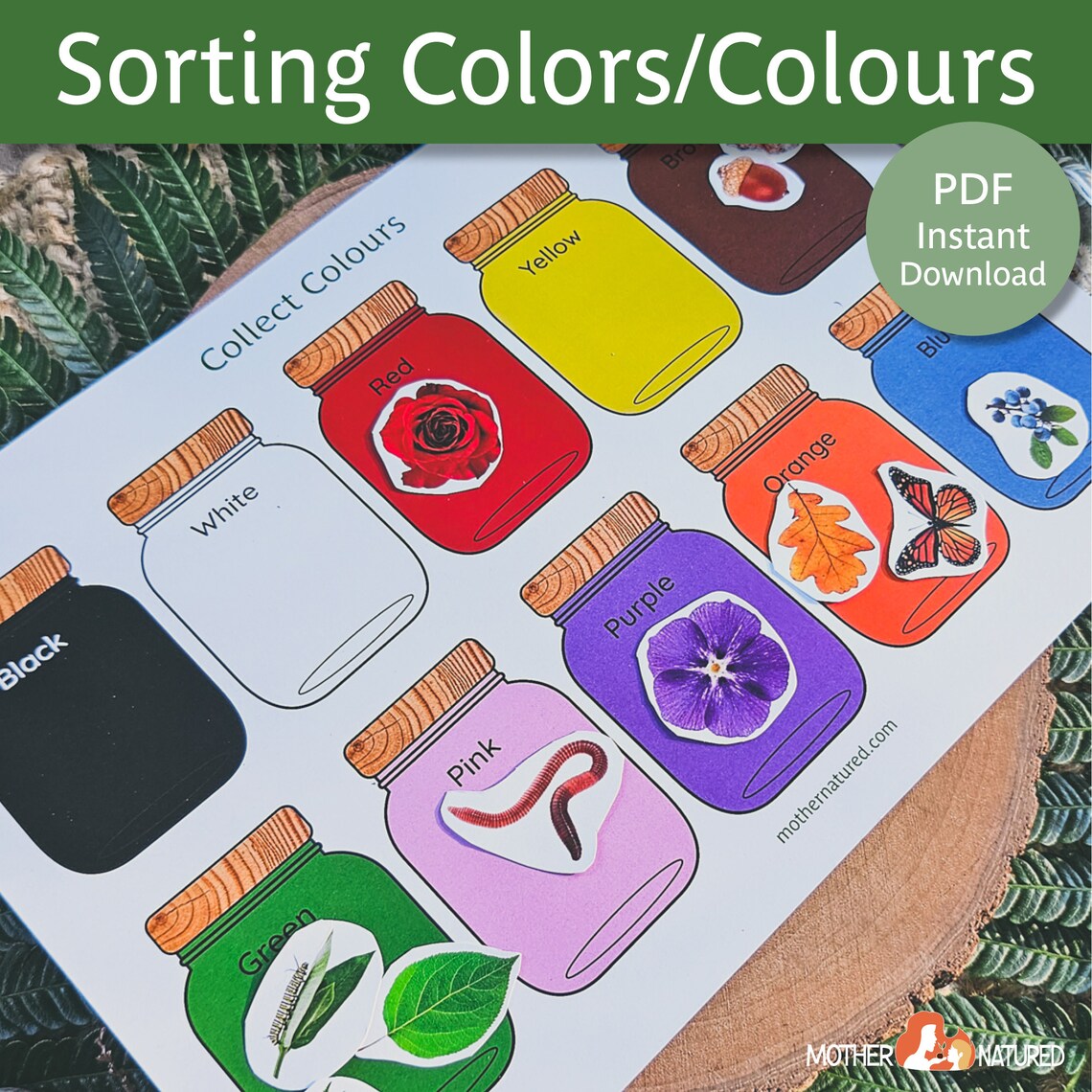 Sorting Color Activity | Sorting Colour Activity | Colour Recognition ...