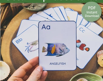 Ocean Alphabet Cards | Alphabet Flash Cards | Ocean Flash Cards | World Ocean Day | Ocean theme preschool | Under the Sea Alphabet