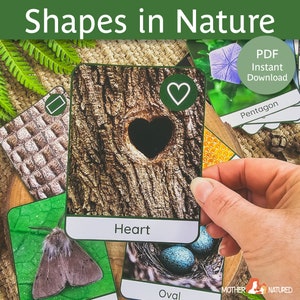 Nature Shapes Poster and Cards | Nature Shapes Preschool | Nature ...
