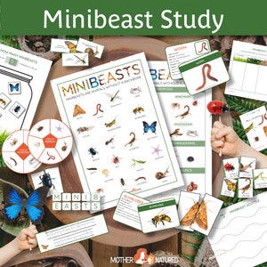 Paquete de estudio Minibeast / Imprimibles Minibeast / Actividades Minibeast / Descargas digitales Minibeast / Estudio de invertebrados