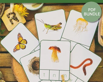 Nature Alphabet Peg Cards | Nature Clip Cards | Nature Alphabet Clip Cards | Alphabet Game | Alphabet Preschool | Alphabet Flash Cards