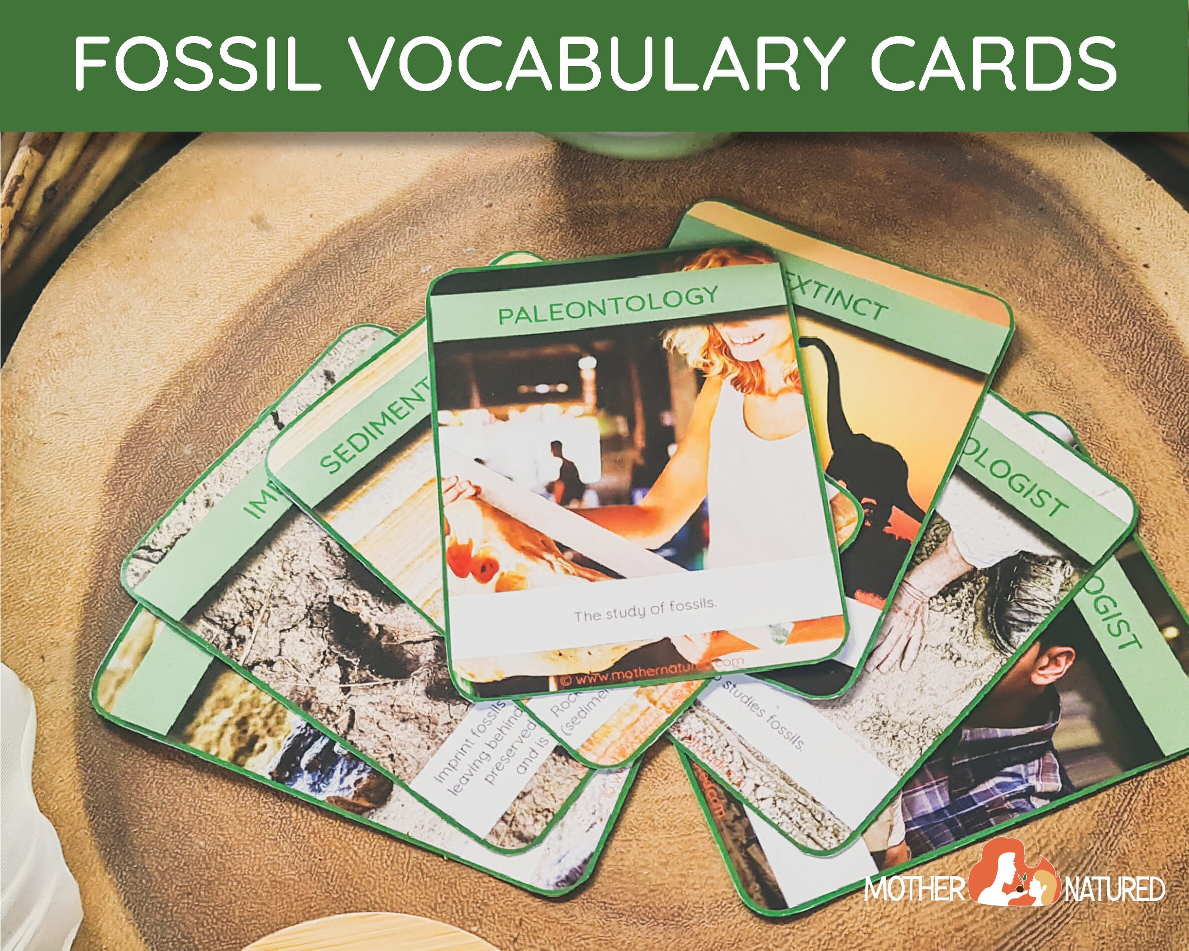 FOSSIL CARDS Fossil Job Cards Types of Fossils Cards Etsy